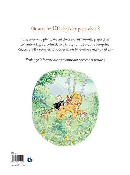 Back cover of Papa chat cherche ses cent chats