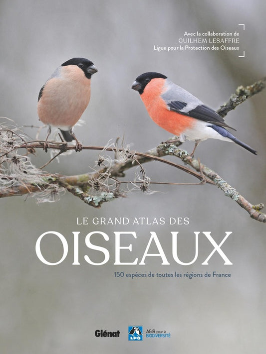 Front cover of Le grand atlas des oiseaux : 150 espèces de toutes régions de France