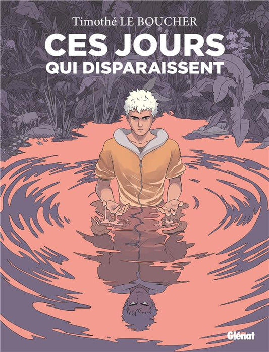 Front cover of Ces jours qui disparaissent