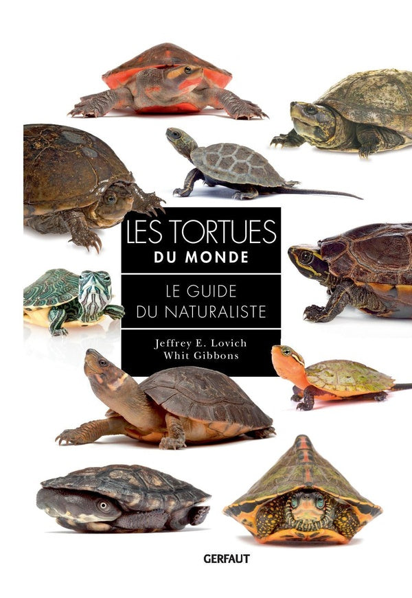 Front cover of Les tortues du monde