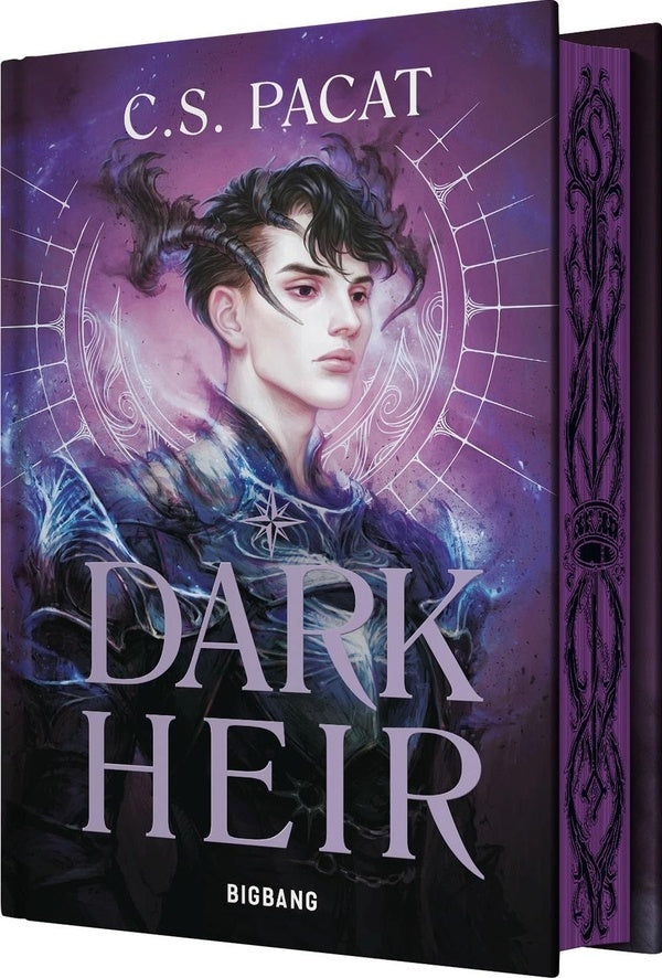 Front cover of Dark Heir