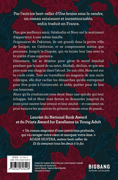 Back cover of All My Rage