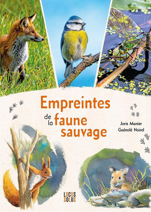 Front cover of Empreintes de la faune sauvage