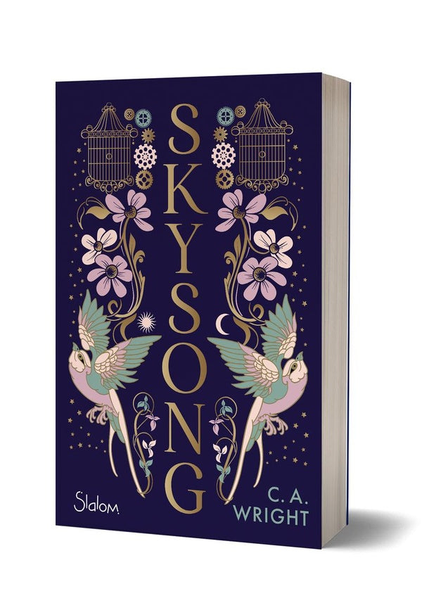 Front cover of Skysong