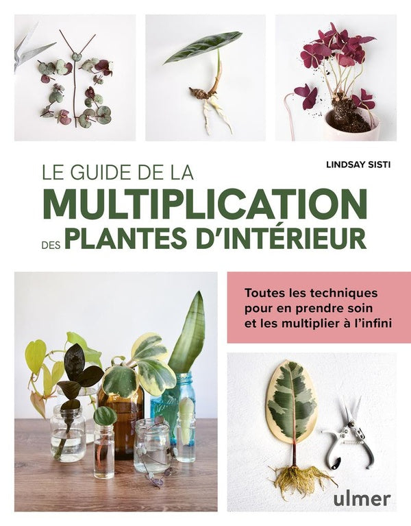 Front cover of Le guide de la multiplication des plantes d'intérieur : Toutes les techniques pour en prendre soin et les multiplier à l'infini