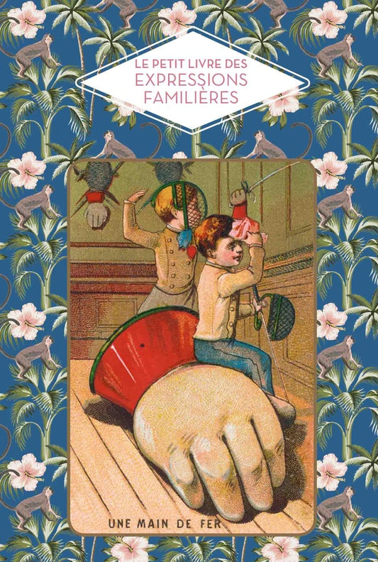 Front cover of Le petit livre des expressions familières