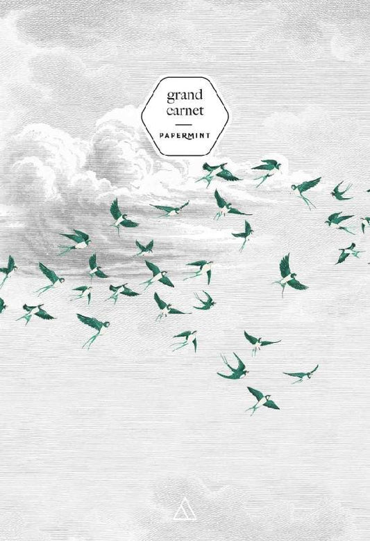 Front cover of Grand carnet ; papermint swallow cloud vert