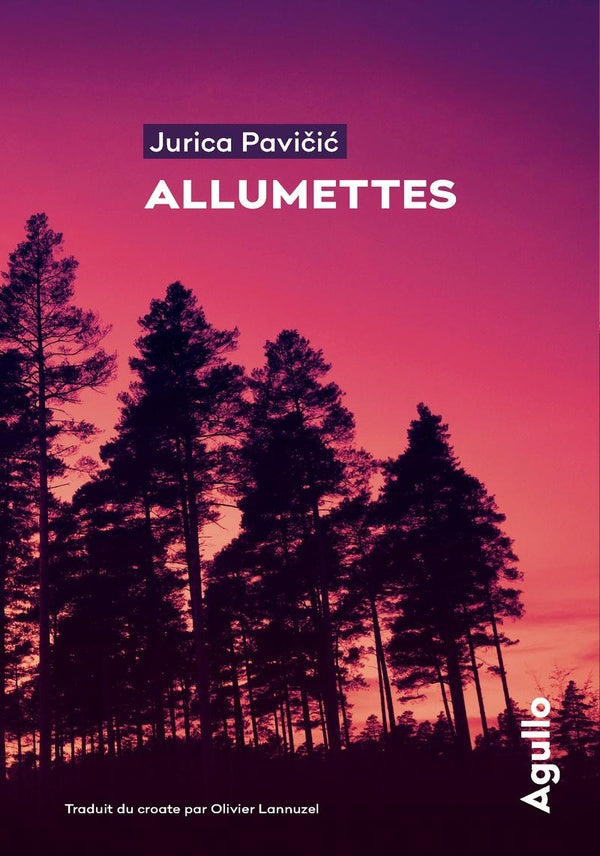 Front cover of Allumettes