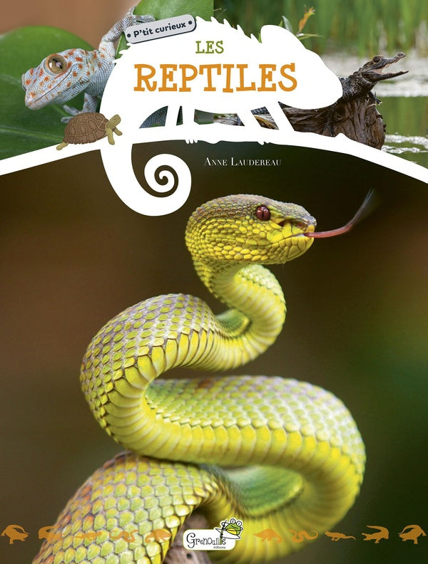 Front cover of Les reptiles