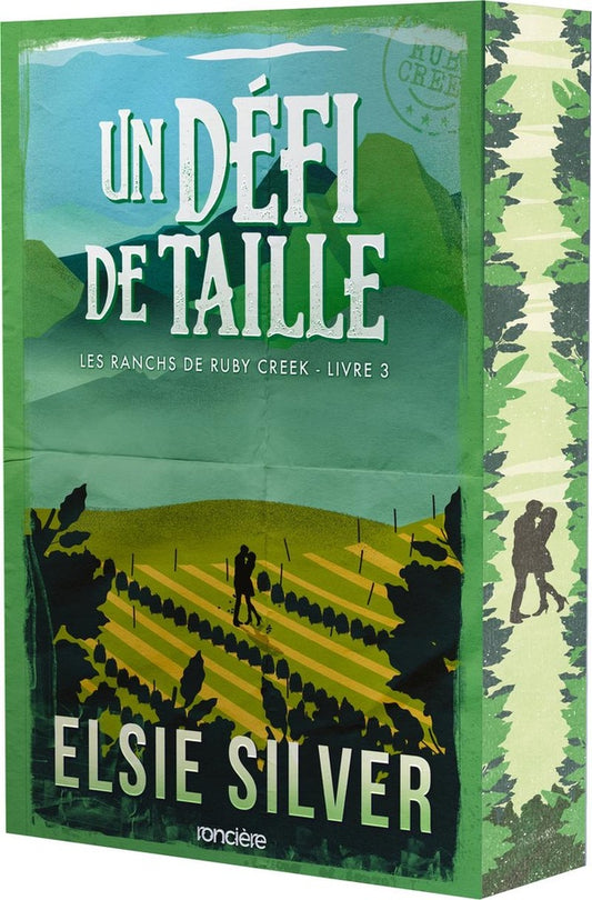 Front cover of Un défi de taille