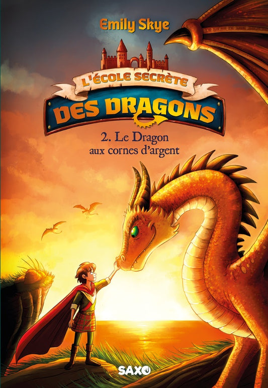 Front cover of L'École secrète des dragons Tome 2 : Le dragon aux cornes d'argent