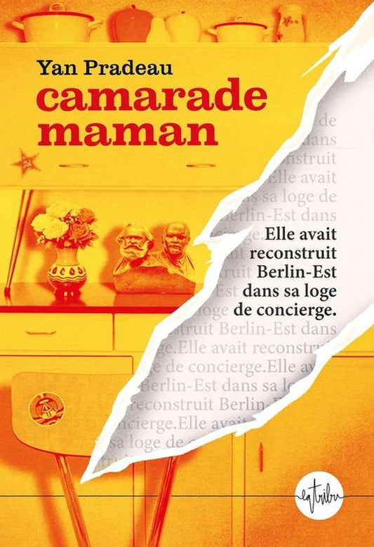 Front cover of Camarade maman