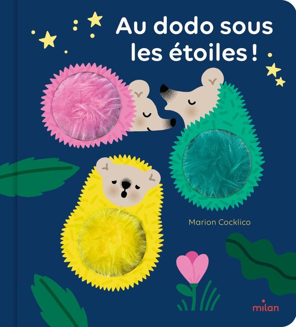 Front cover of Au dodo sous les étoiles !