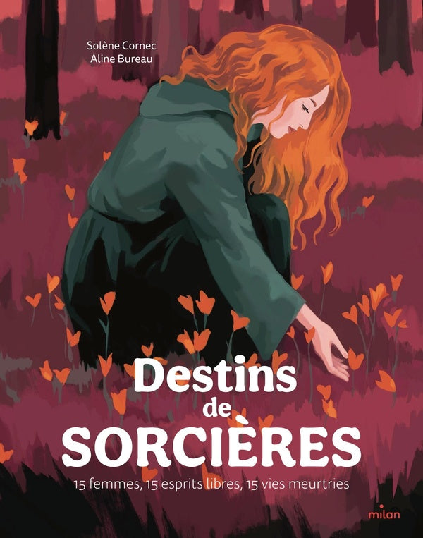 Front cover of Destins de sorcières : 15 femmes, 15 esprits libres, 15 vies meurtries