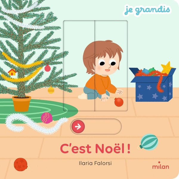 Front cover of C'est Noël !
