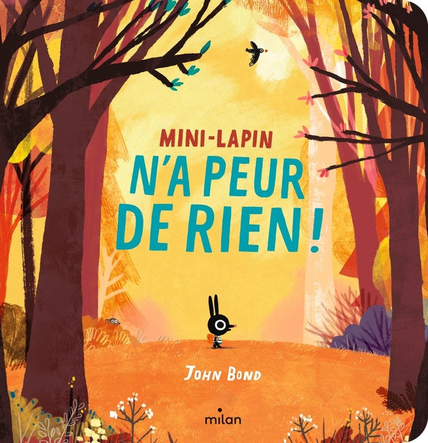 Front cover of Mini-Lapin n'a peur de rien !