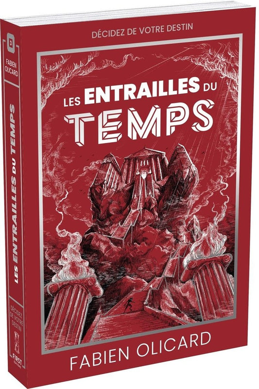 Front cover of Les entrailles du temps : Décidez de votre destin : La Saga de Dagda