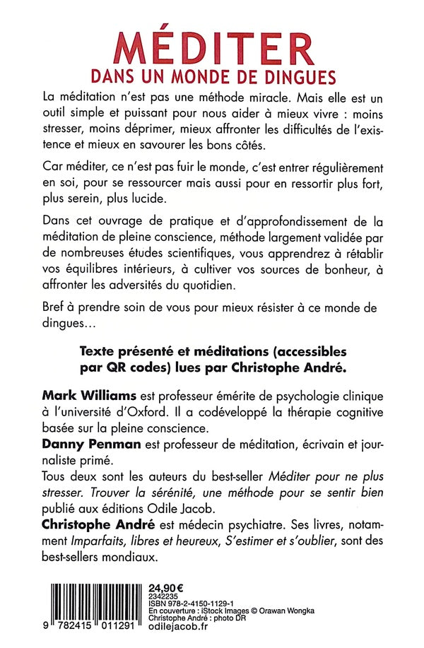 Back cover of Méditer dans un monde de dingues : Pratiquer et approfondir la pleine conscience