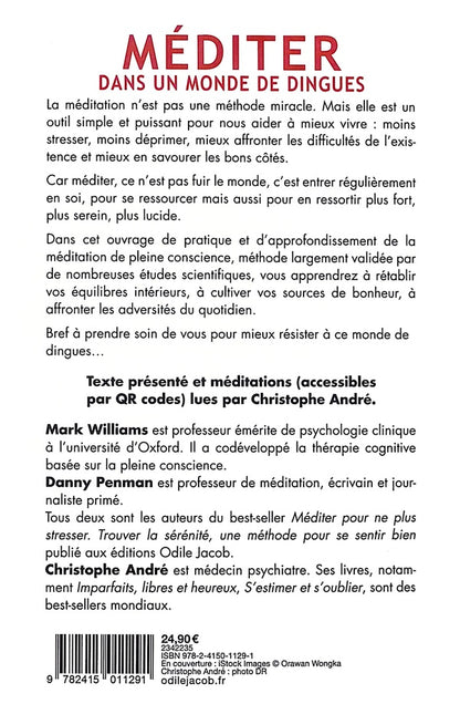 Back cover of Méditer dans un monde de dingues : Pratiquer et approfondir la pleine conscience