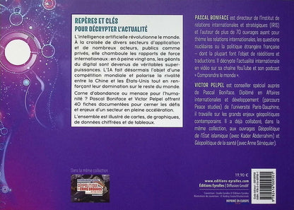 Back cover of Géopolitique de l'intelligence artificielle : 40 fiches illustrées pour comprendre le monde
