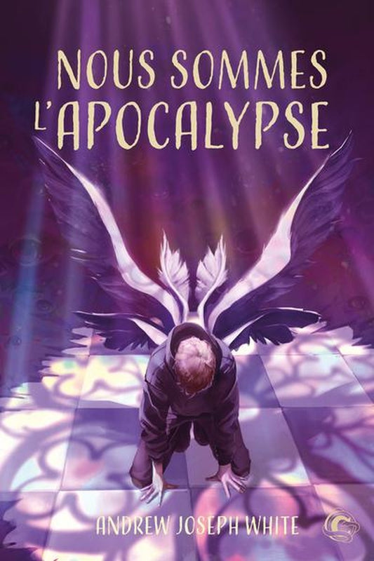 Front cover of Nous sommes l'Apocalypse