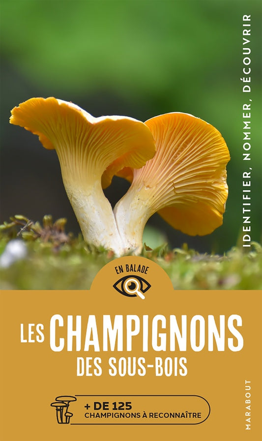 Front cover of Les champignons des sous-bois