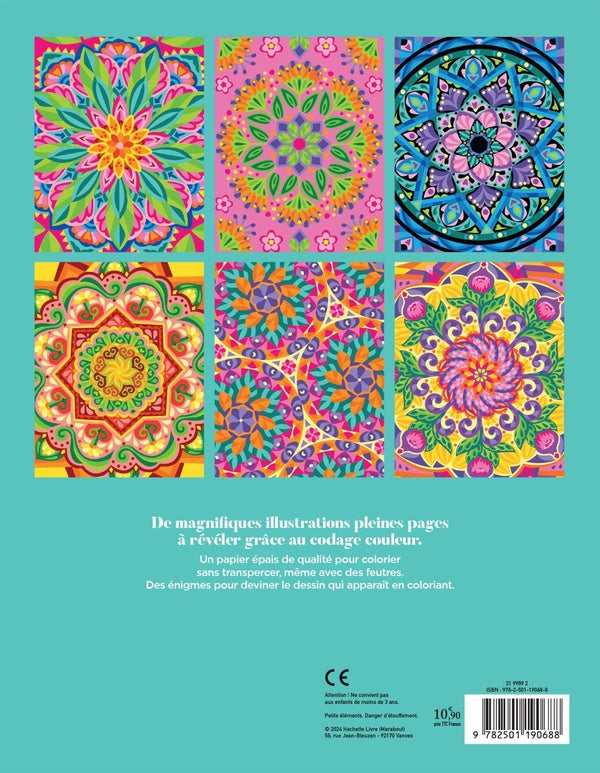 Back cover of Coloriages mystères : Mandalas végétaux