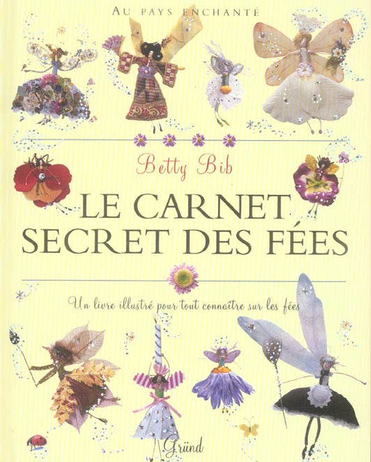 Front cover of Le carnet secret des fees ; au pays enchante
