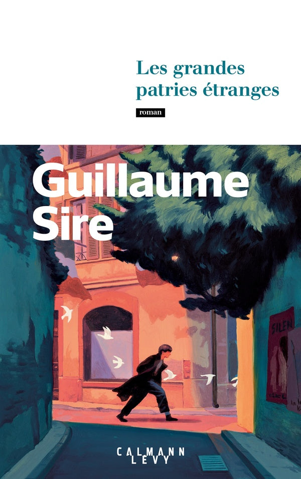 Front cover of Les grandes patries étranges