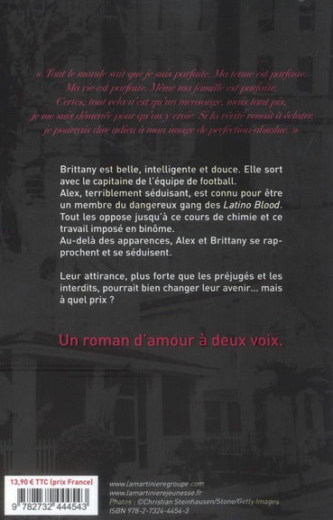 Back cover of Irrésistible alchimie