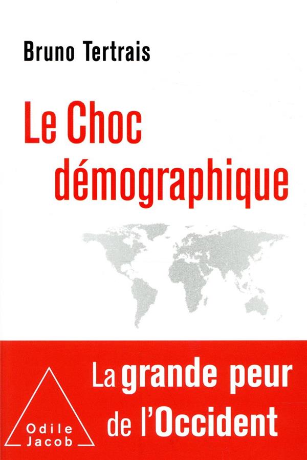 Front cover of Le choc démographique