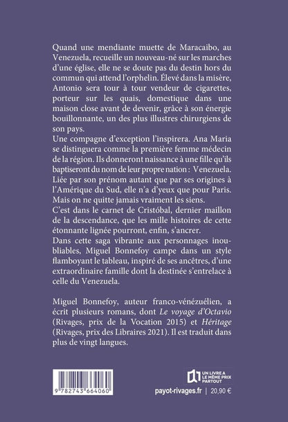 Back cover of Le rêve du jaguar