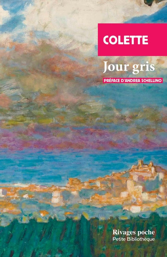 Front cover of Un jour gris