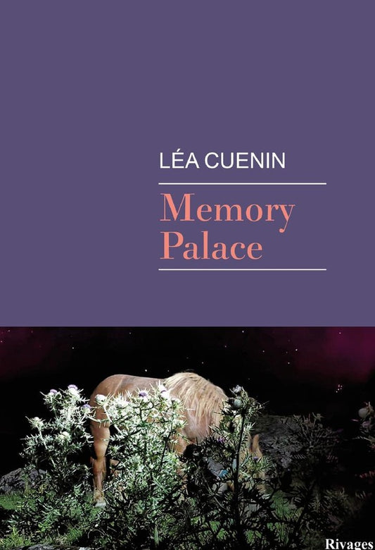 Front cover of Memory Palace
