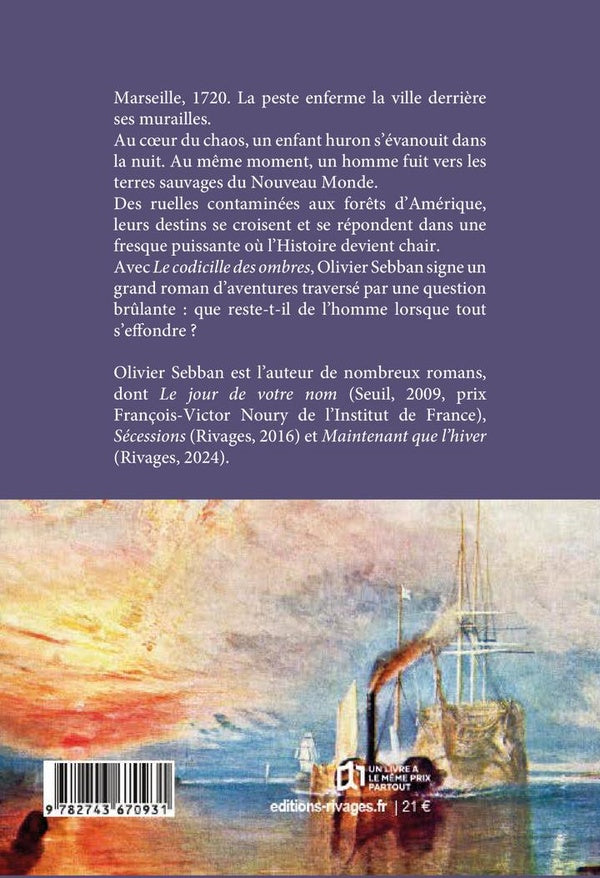 Back cover of Le Codicille des ombres