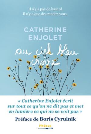 Front cover of Au ciel bleu croire : il n'y a pas de hasard, il n'y a que des rendez-vous