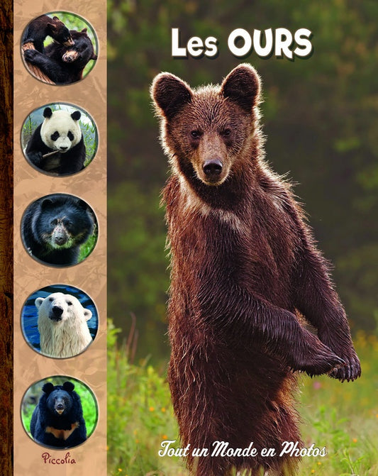Front cover of Tout un monde en photos : les ours