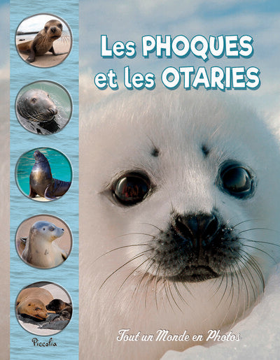 Front cover of Tout un monde en photos : Les phoques et les otaries