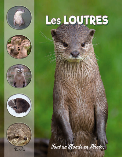 Front cover of Tout un monde en photos : Les loutres