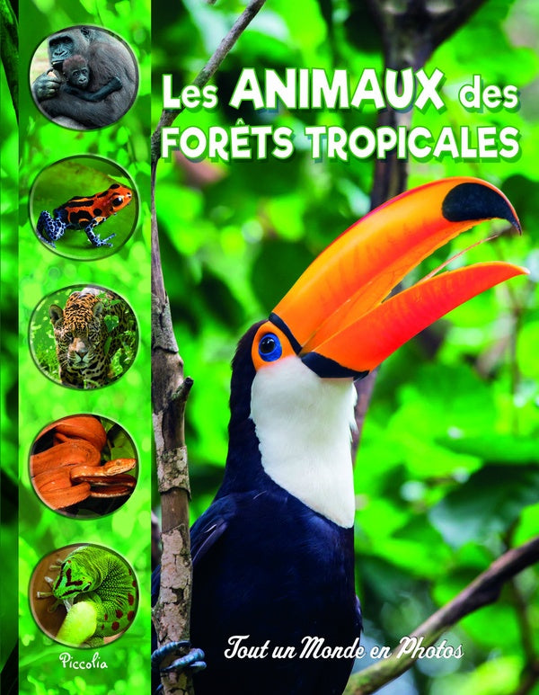 Front cover of Tout un monde en photos : Les animaux des forêts tropicales