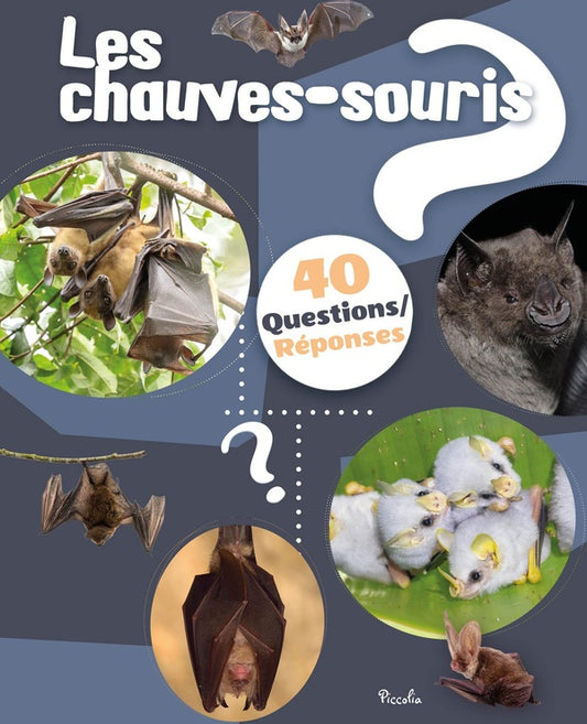 Front cover of 40 questions/réponses : Les chauves souris