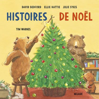 Front cover of Histoires de Noël