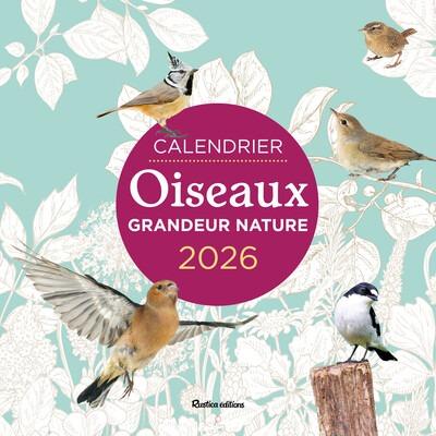 Front cover of Calendrier Oiseaux grandeur nature (édition 2026)