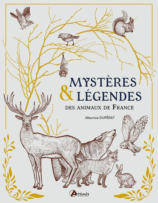 Front cover of Mystères & légendes des animaux de nos forêts