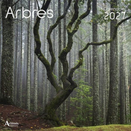 Front cover of Calendrier Arbres (édition 2027)