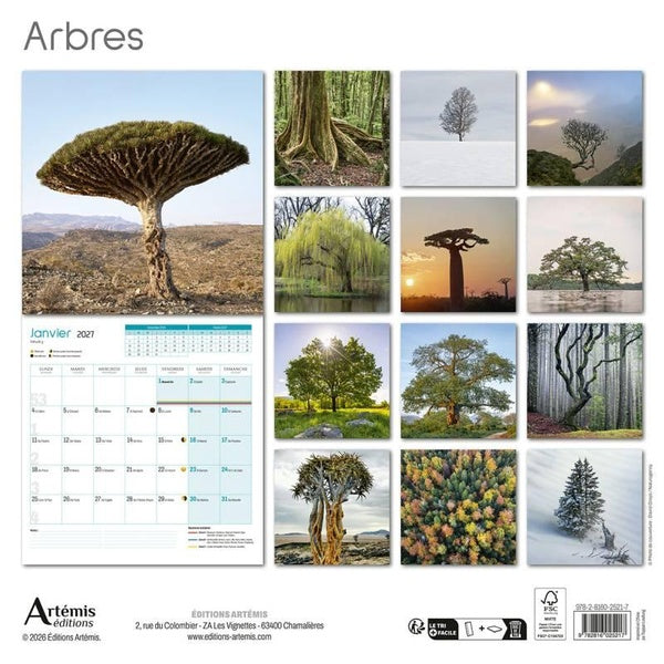 Back cover of Calendrier Arbres (édition 2027)