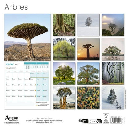 Back cover of Calendrier Arbres (édition 2027)