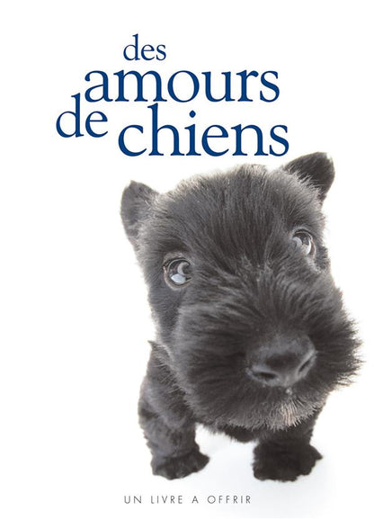 Front cover of Des amours de chiens