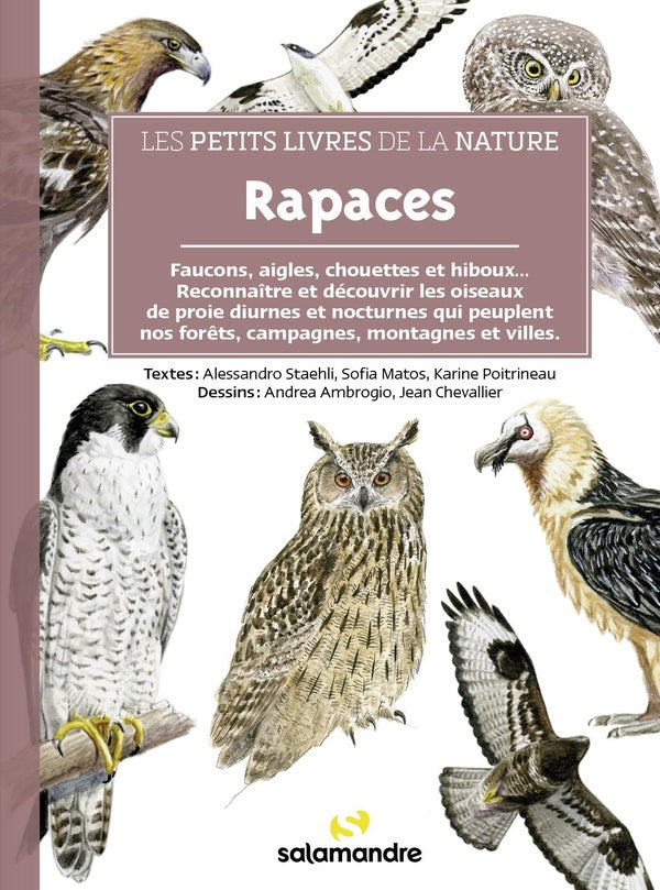 Front cover of Rapaces