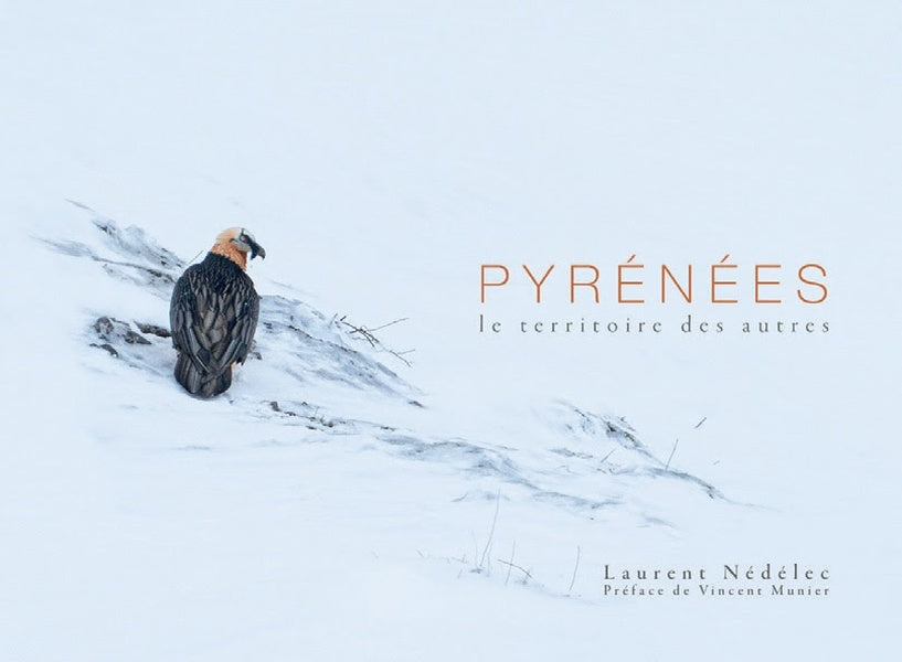 Front cover of Pyrénées : Le territoire des autres
